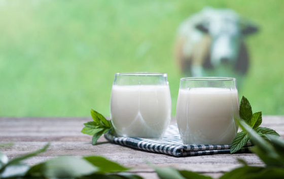 Aditif Makanan DMG95 Emulsifier Dan Stabilizer Mencegah Kemungkinan Stratifikasi pada Susu