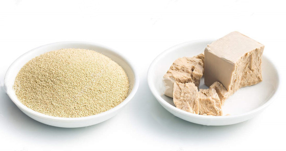 E471 Food Emulsifier GMS 50% Monogliserida untuk kue, roti, kembang gula