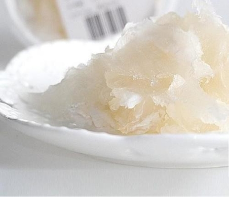 SP Cake Improver Gel Emulsifier Kuning Muda Dengan Waktu Naik Lebih Singkat